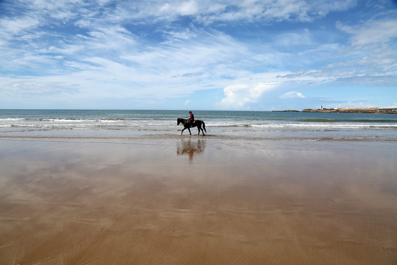 Camel or Horse Ride