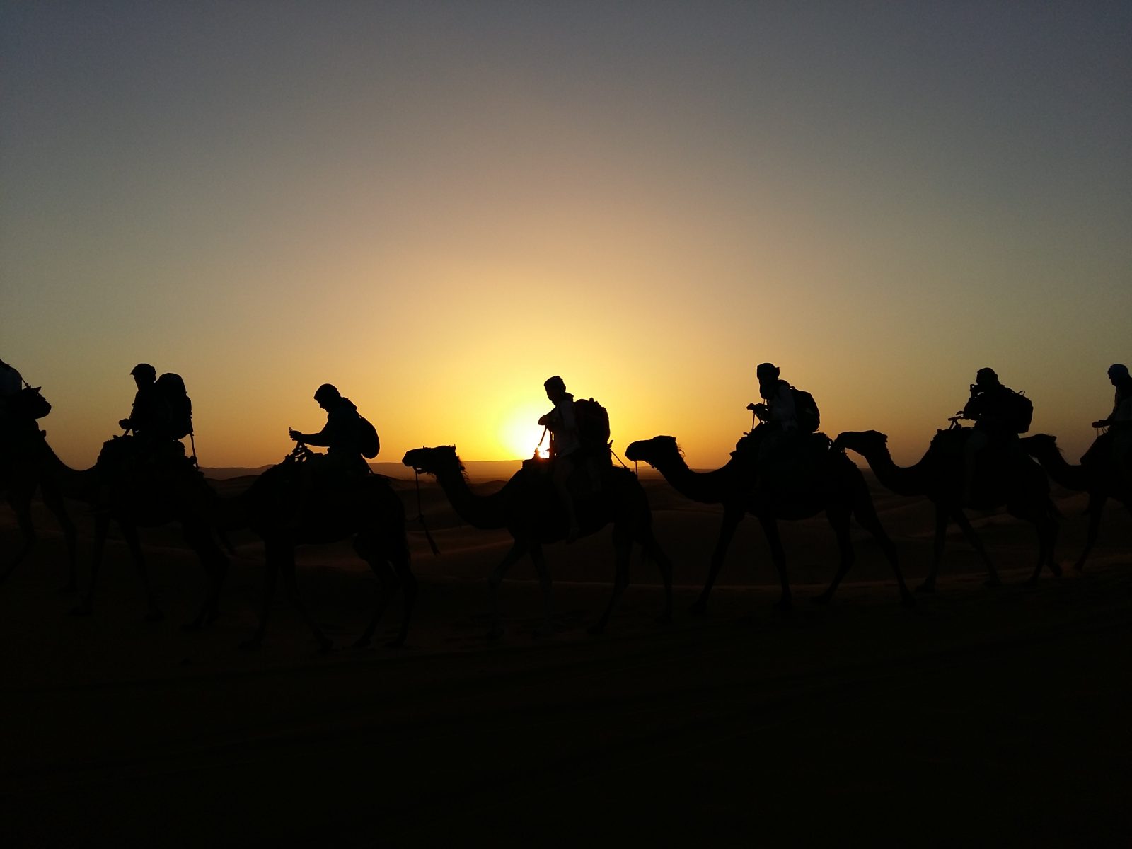 Camel Ride at Sunset + BBQ
