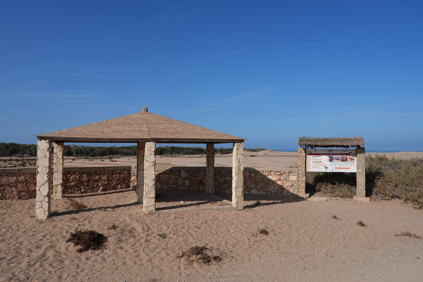 Safari in Souss Massa National Park
